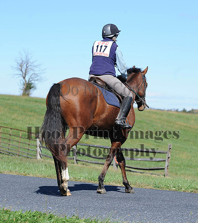Cheshire(10-19-14)0097