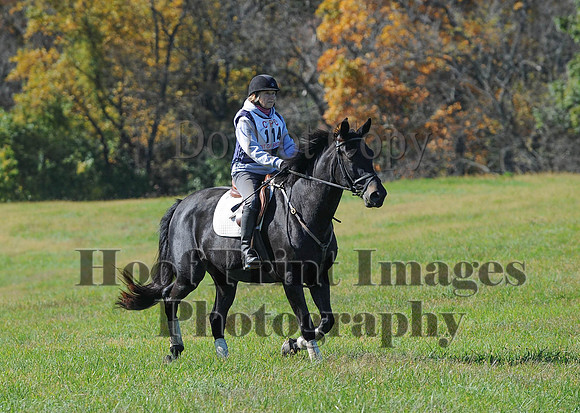 Cheshire(10-19-14)0147