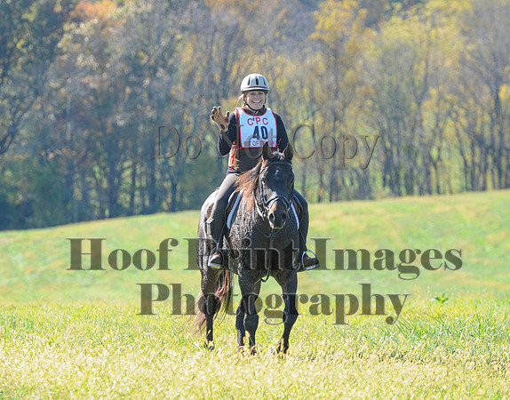 Cheshire(10-20-13)0597