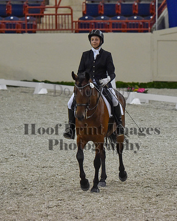 CWdressageII(8-21-16)0482