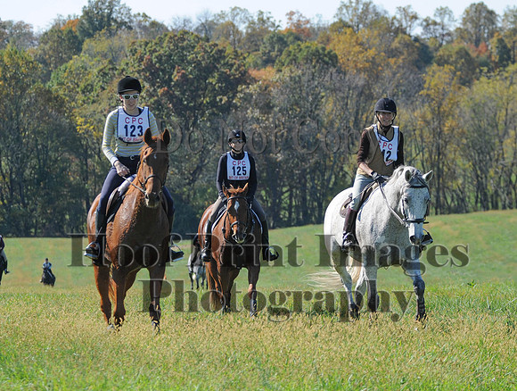 Cheshire(10-20-13)0241