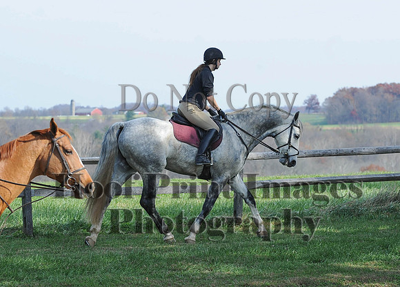 AndrewsBr(11-9-14)0252