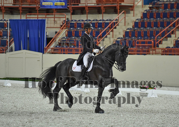 CWdressageI(8-20-16)1662