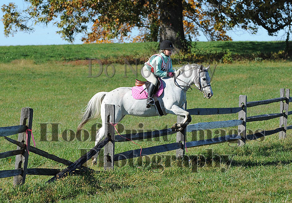 Cheshire(10-19-14)0483