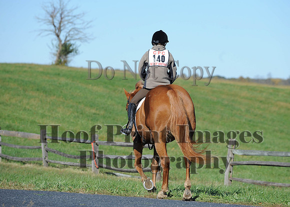 Cheshire(10-19-14)0464