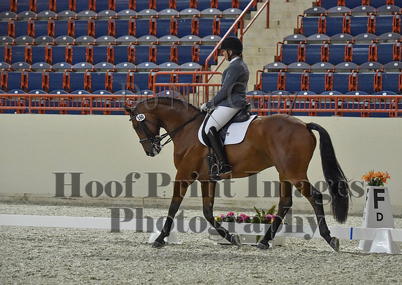 CWdressageI(8-20-16)1167