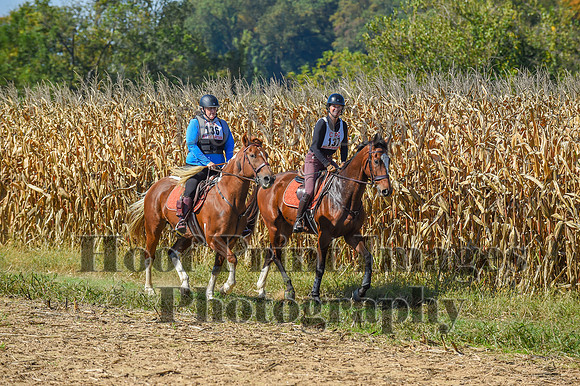 CheshirePonyClubPC(10-6-24)0558