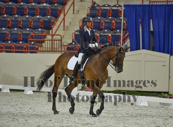 CWdressageI(8-20-16)1362