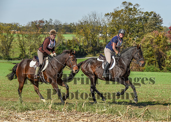 CheshirePC(10-18-20)0553