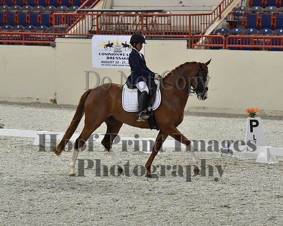 CWdressageII(8-21-16)2000