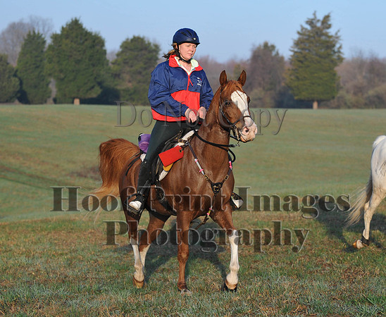 Foxcatcher(4-12-14)0485