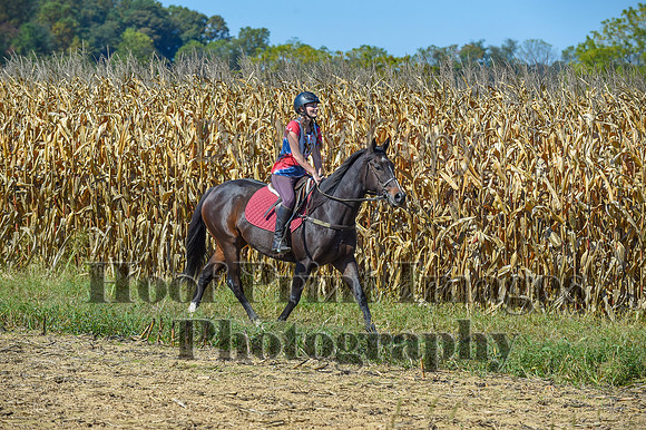 CheshirePonyClubPC(10-6-24)0572
