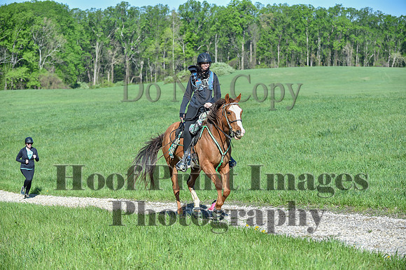 ChesapeakeSpring(4-27-25)0379