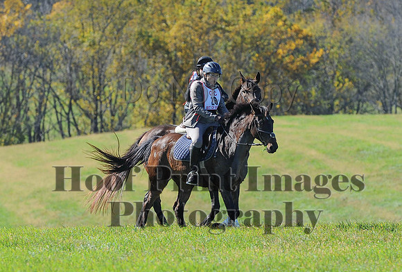 Cheshire(10-19-14)0214
