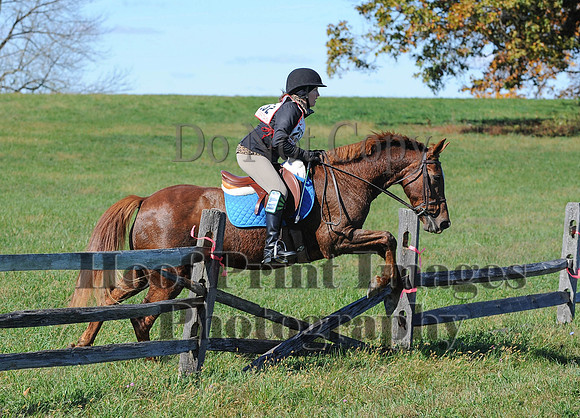 Cheshire(10-19-14)0075