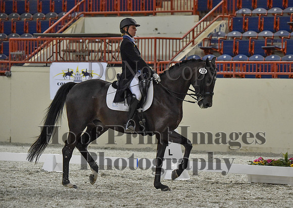 CWdressageI(8-20-16)1464