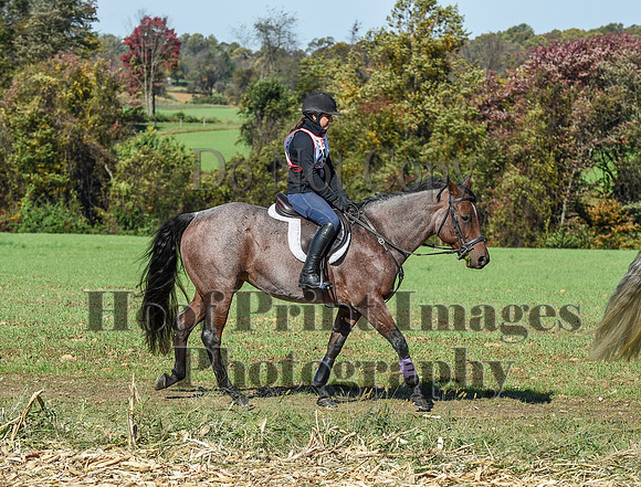 CheshirePC(10-18-20)0594