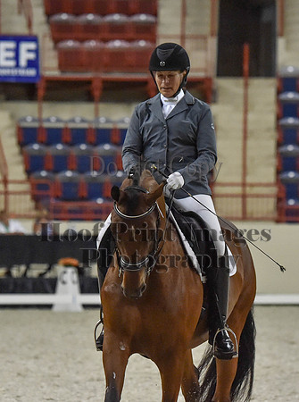 CWdressageI(8-20-16)1166