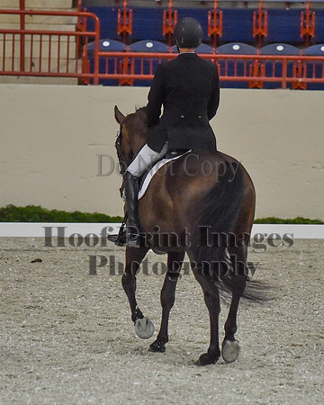 CWdressageII(8-21-16)0374