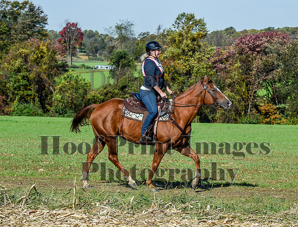 CheshirePC(10-18-20)0531
