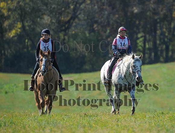 Cheshire(10-20-13)0412