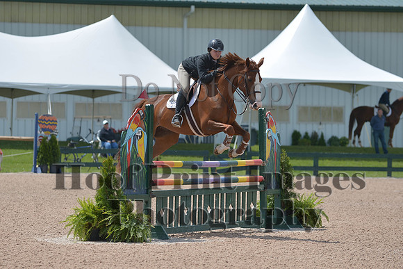 BRSa(5-17-14)HChAdJ0222