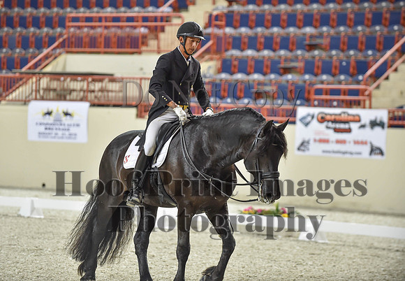 CWdressageI(8-20-16)1678