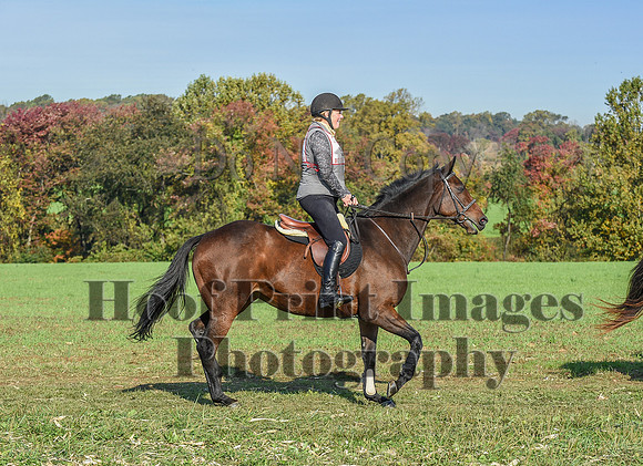 CheshirePC(10-18-20)0070