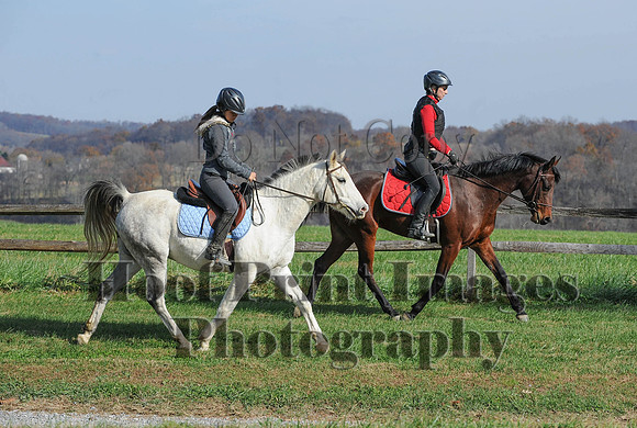 AndrewsBr(11-9-14)0122