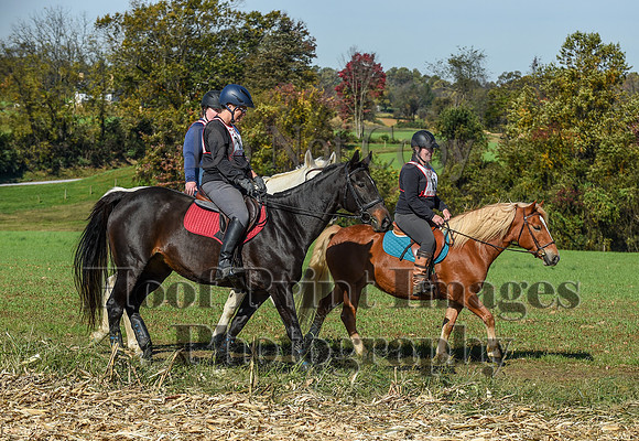 CheshirePC(10-18-20)0395