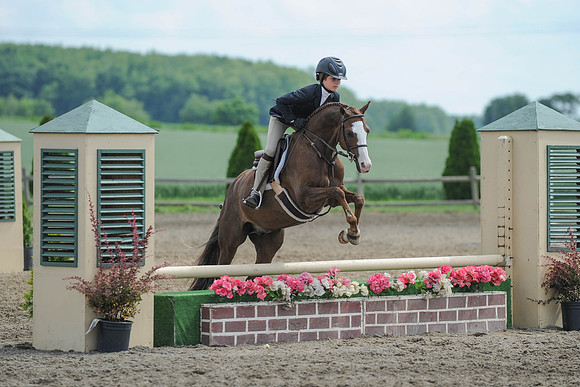 SC(6-28-14)SMPony0041