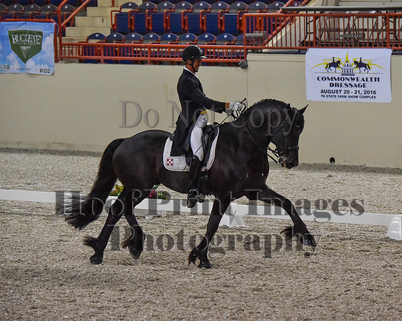 CWdressageII(8-21-16)0605