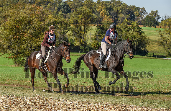 CheshirePC(10-18-20)0548
