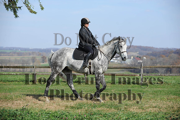 AndrewsBr(11-9-14)0209