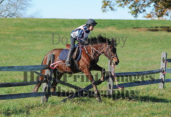 Cheshire(10-19-14)0179