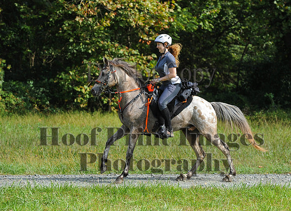 ChesapeakeCTR(9-20-14)0430