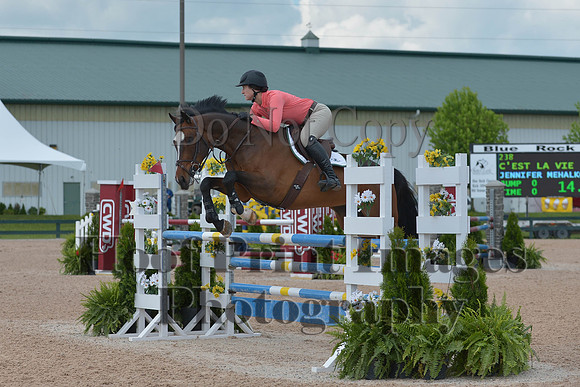 BRSa(5-17-14)HChAdJ0217