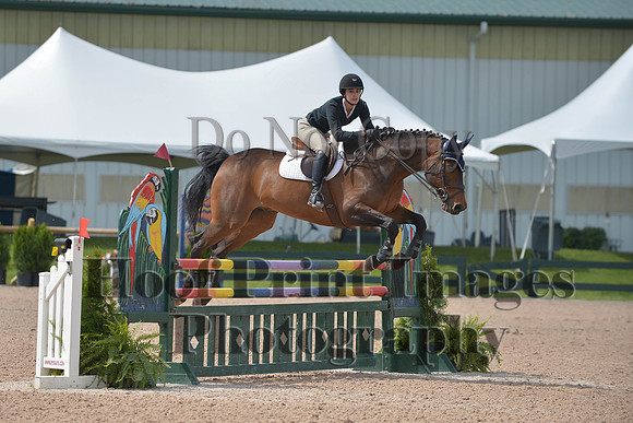 BRSa(5-17-14)HChAdJ0155