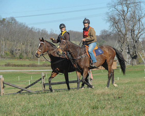 BHPC(11-15-15)0333