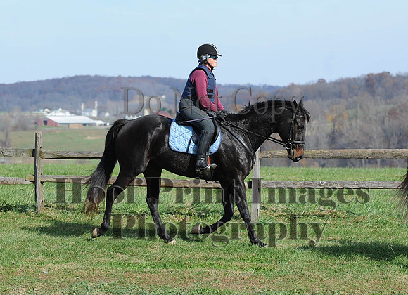 AndrewsBr(11-9-14)0276