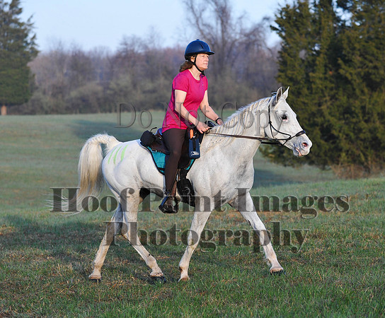 Foxcatcher(4-12-14)0332