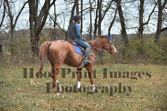 AndrewsBrHuntPace(11-10-24)0169