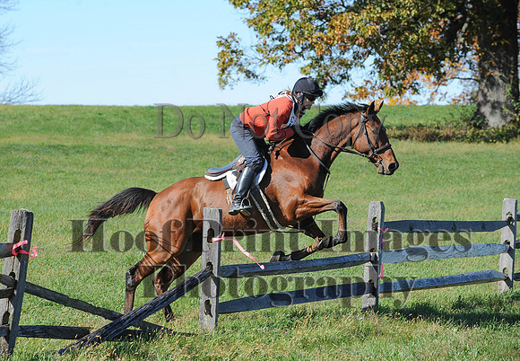 Cheshire(10-19-14)0242