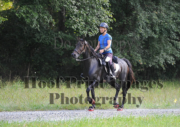 ChesapeakeCTR(9-20-14)0332