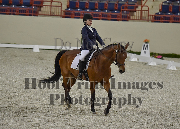 CWdressageI(8-20-16)0384