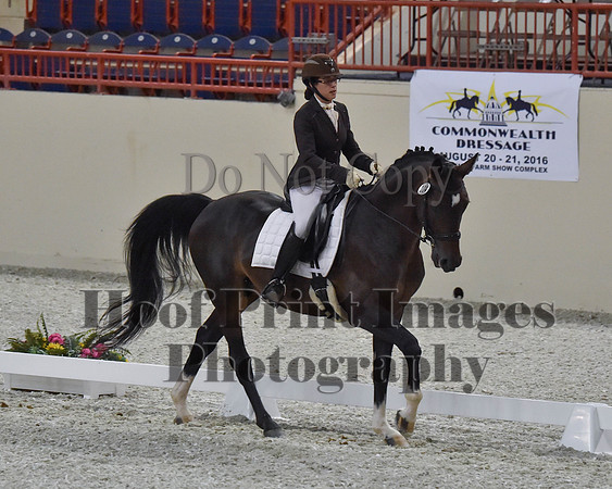 CWdressageII(8-21-16)2080