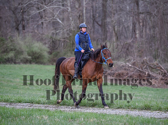 ChesapeakeSpring(4-10-22)0218