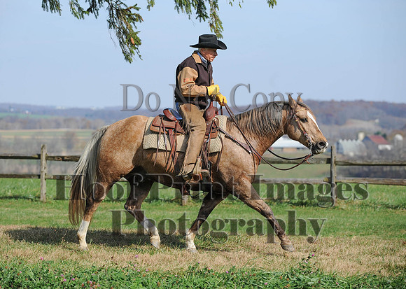 AndrewsBr(11-9-14)0072