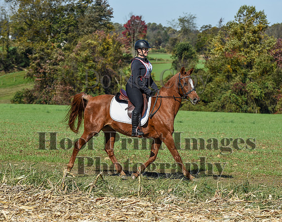 CheshirePC(10-18-20)0477