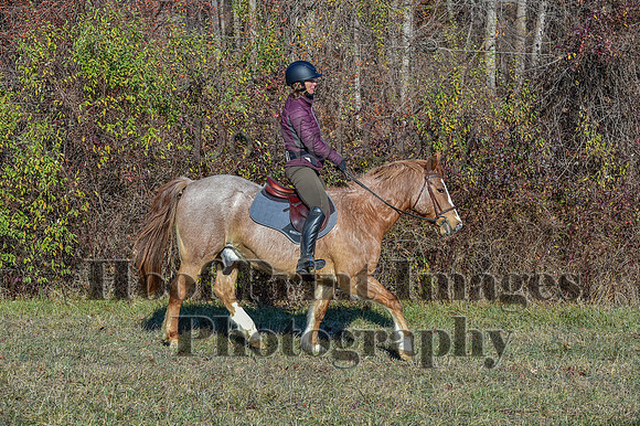 FairHillFallPC(11-30-24)0184